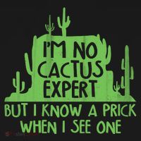 I'm No Cactus Expert But I Know a Prick When I See One Bucket Hat thumb 4