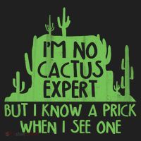 I'm No Cactus Expert But I Know a Prick When I See One Hat thumb 2