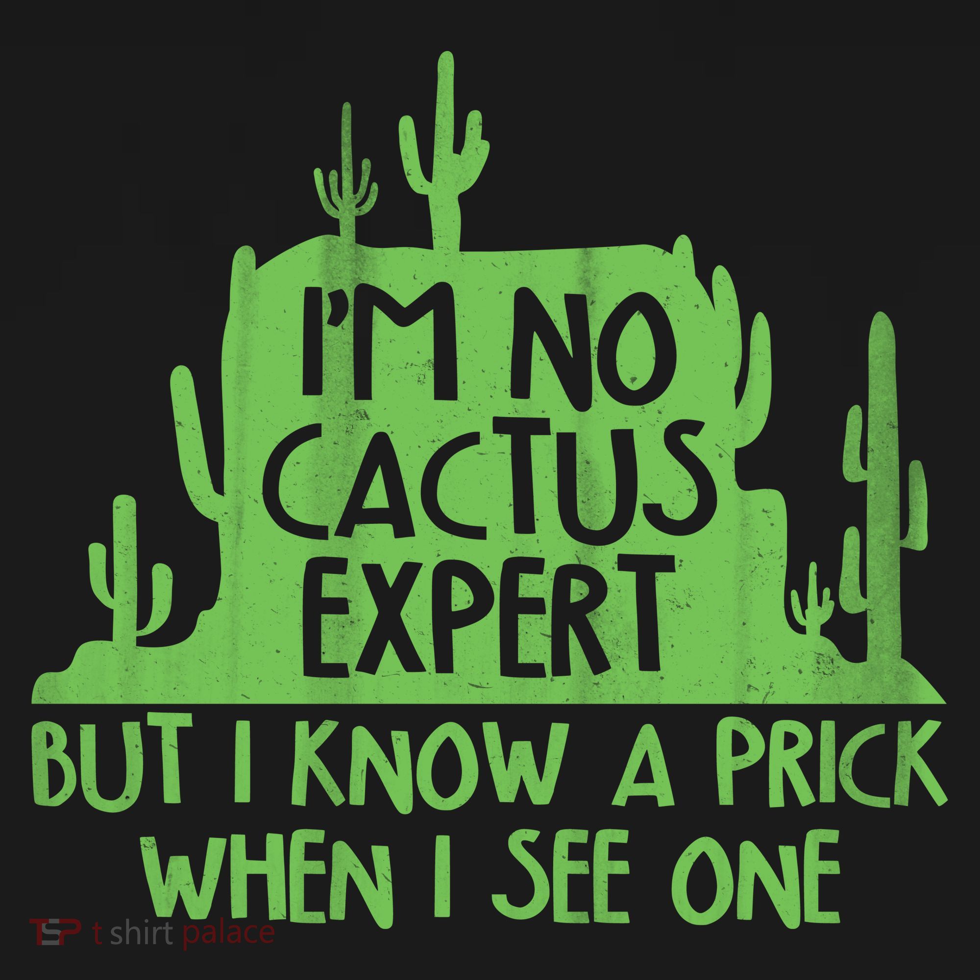 I'm No Cactus Expert But I Know a Prick When I See One Women's Long Sleeve Shirt