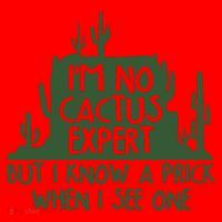 I'm No Cactus Expert But I Know a Prick When I See One Santa Hat thumb 1