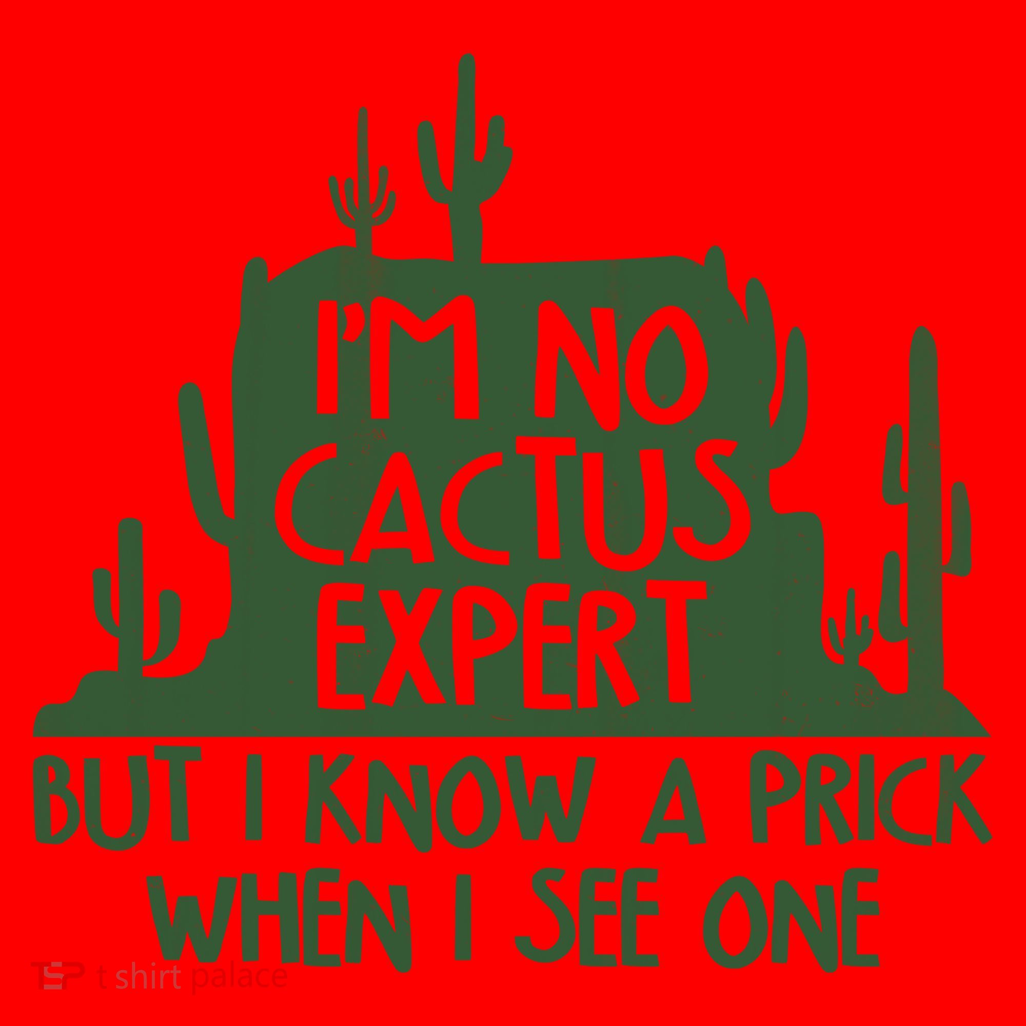I'm No Cactus Expert But I Know a Prick When I See One Santa Hat