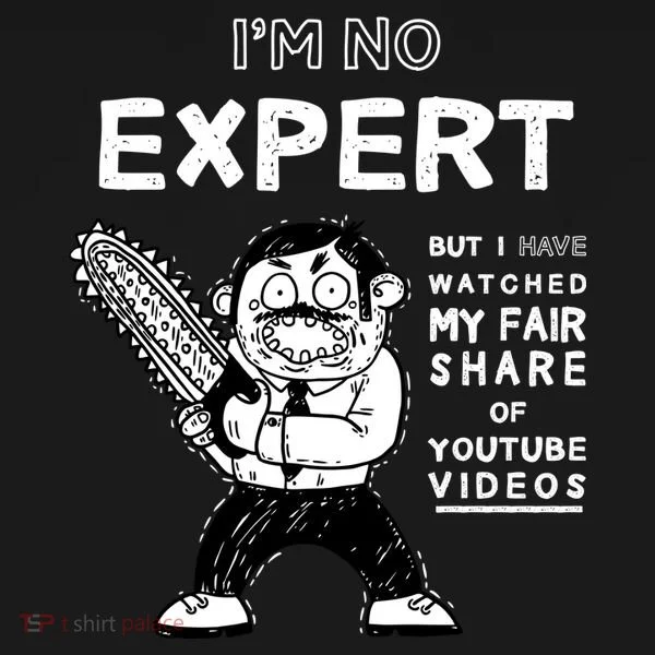 I'm No Expert Funny Video Women's Hoodie