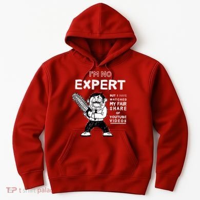 I'm No Expert Funny Video Hoodie