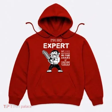 I'm No Expert Funny Video Hoodie