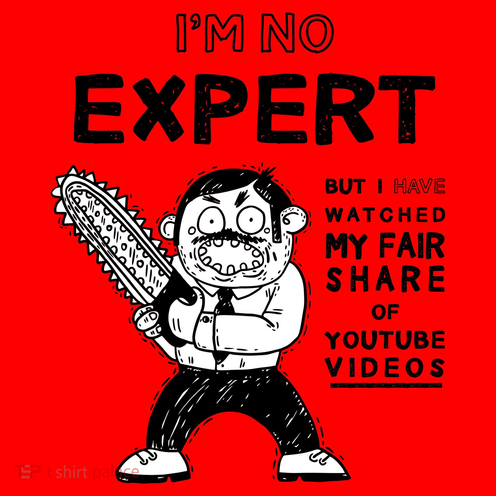 I'm No Expert Funny Video Santa Hat