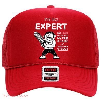 I'm No Expert Funny Video Hat
