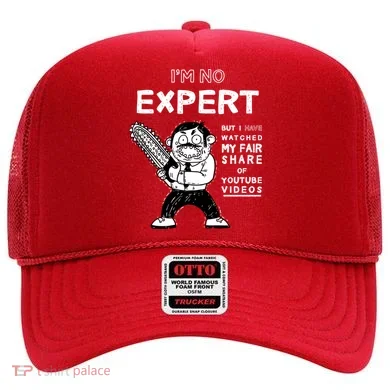 I'm No Expert Funny Video Hat