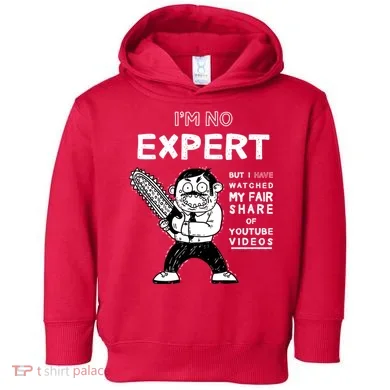 I'm No Expert Funny Video Toddler Hoodie