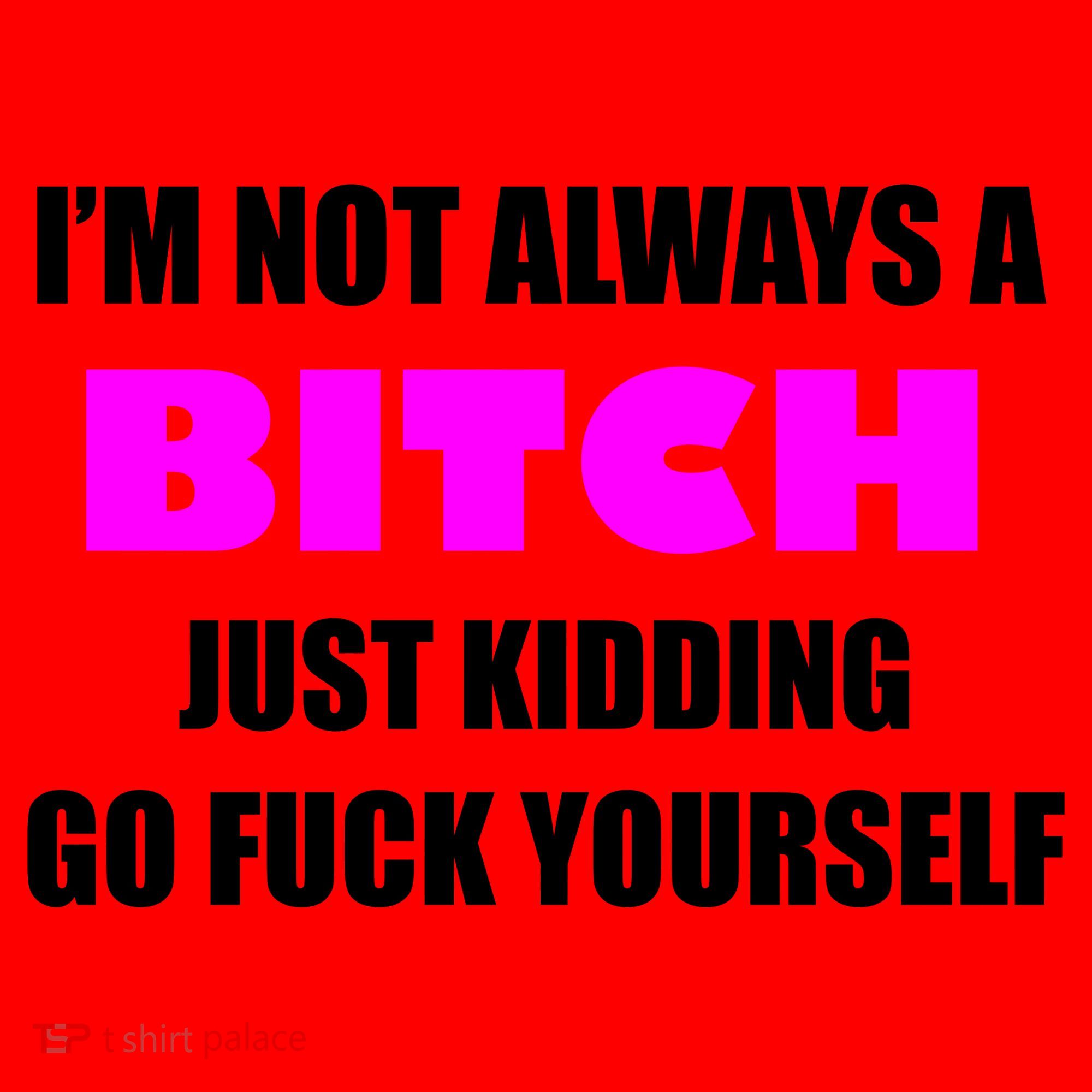 I'm Not Always A Bitch Just Kidding Go Fuck Yourself Santa Hat