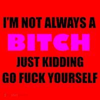 I'm Not Always A Bitch Just Kidding Go Fuck Yourself Funny Santa Hat thumb 1