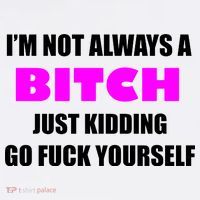 I'm Not Always A Bitch Just Kidding Go Fuck Yourself Funny Women's Hoodie thumb 2