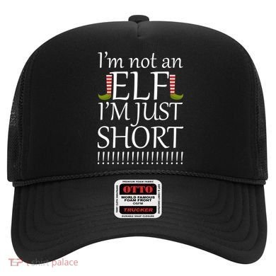 I'm Not An Elf! I'm Just Short Funny Christmas Hat