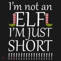 I'm Not An Elf! I'm Just Short Funny Christmas Toddler Hoodie thumb 2