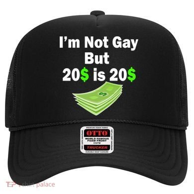 I'm Not Gay But $20 is $20 Hat