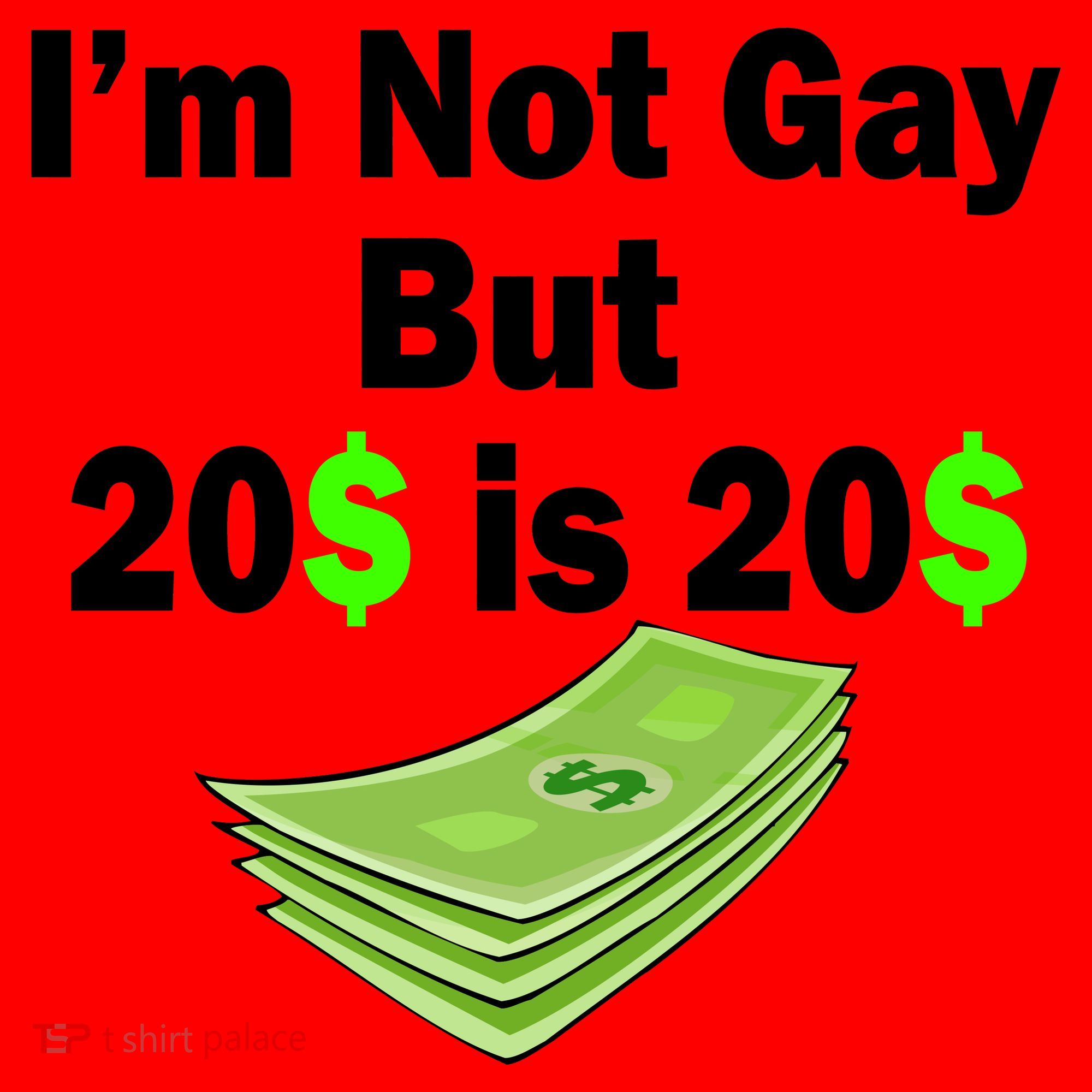 I'm Not Gay But $20 is $20 Santa Hat