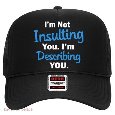 I'm Not Insulting You I'm Describing You Hat