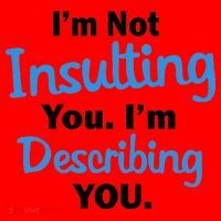 I'm Not Insulting You I'm Describing You Santa Hat thumb 1