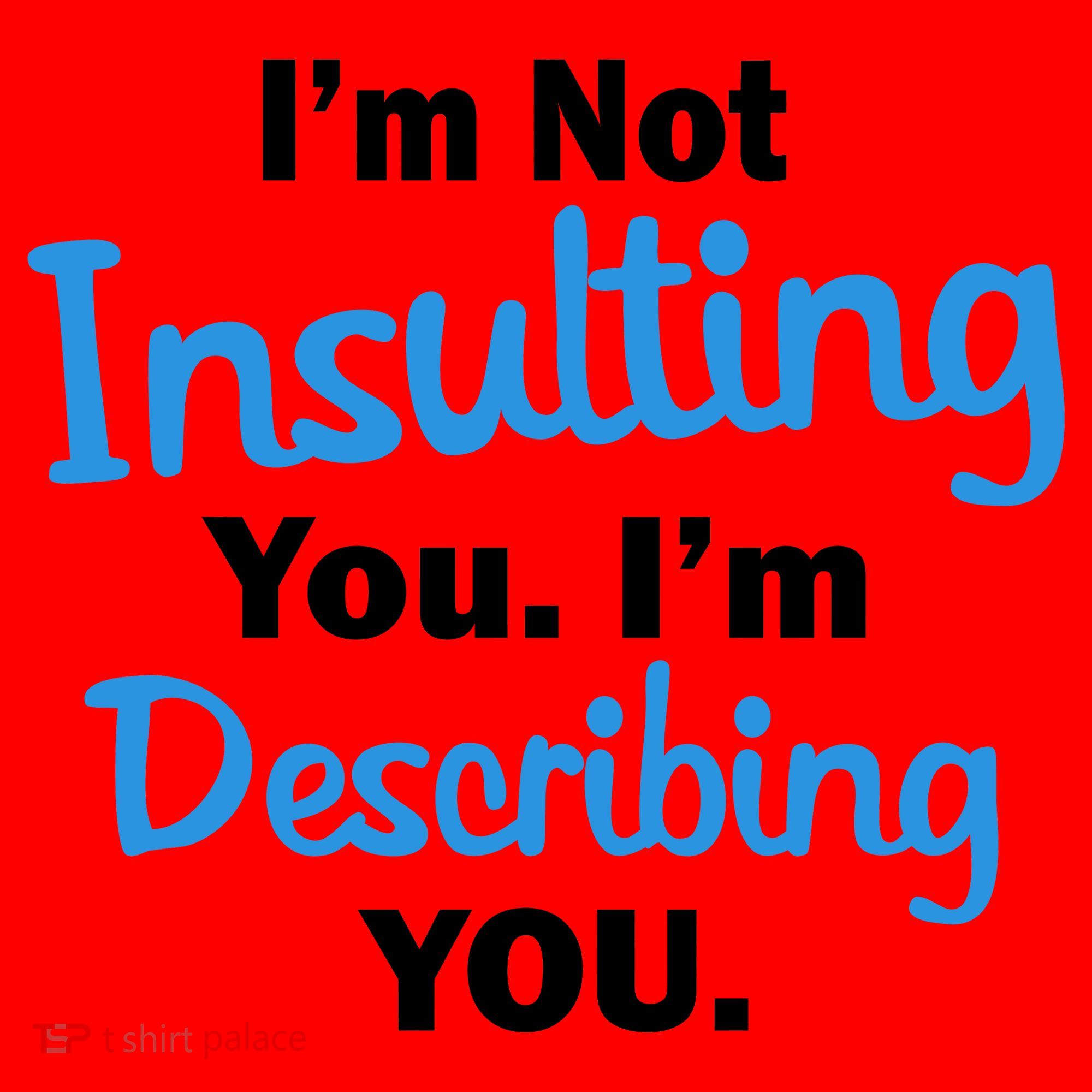 I'm Not Insulting You I'm Describing You Santa Hat