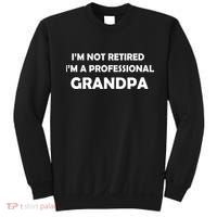 I'm Not Retired I'm A Professional Grandpa Sweatshirt thumb 0
