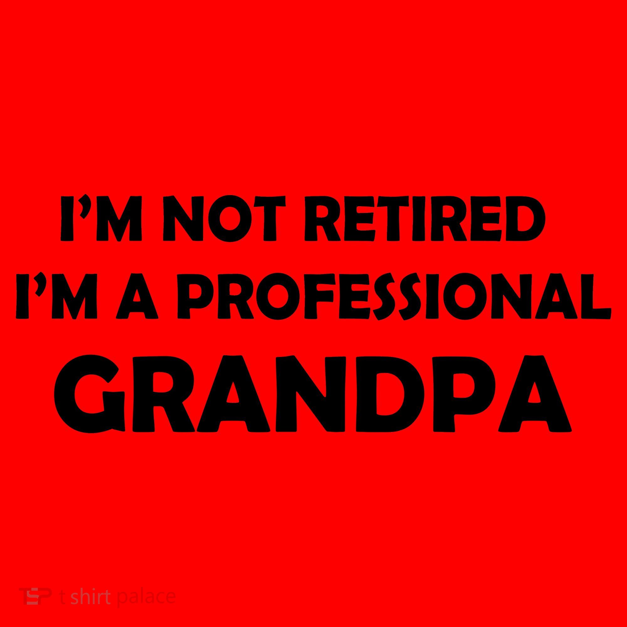 I'm Not Retired I'm A Professional Grandpa Santa Hat