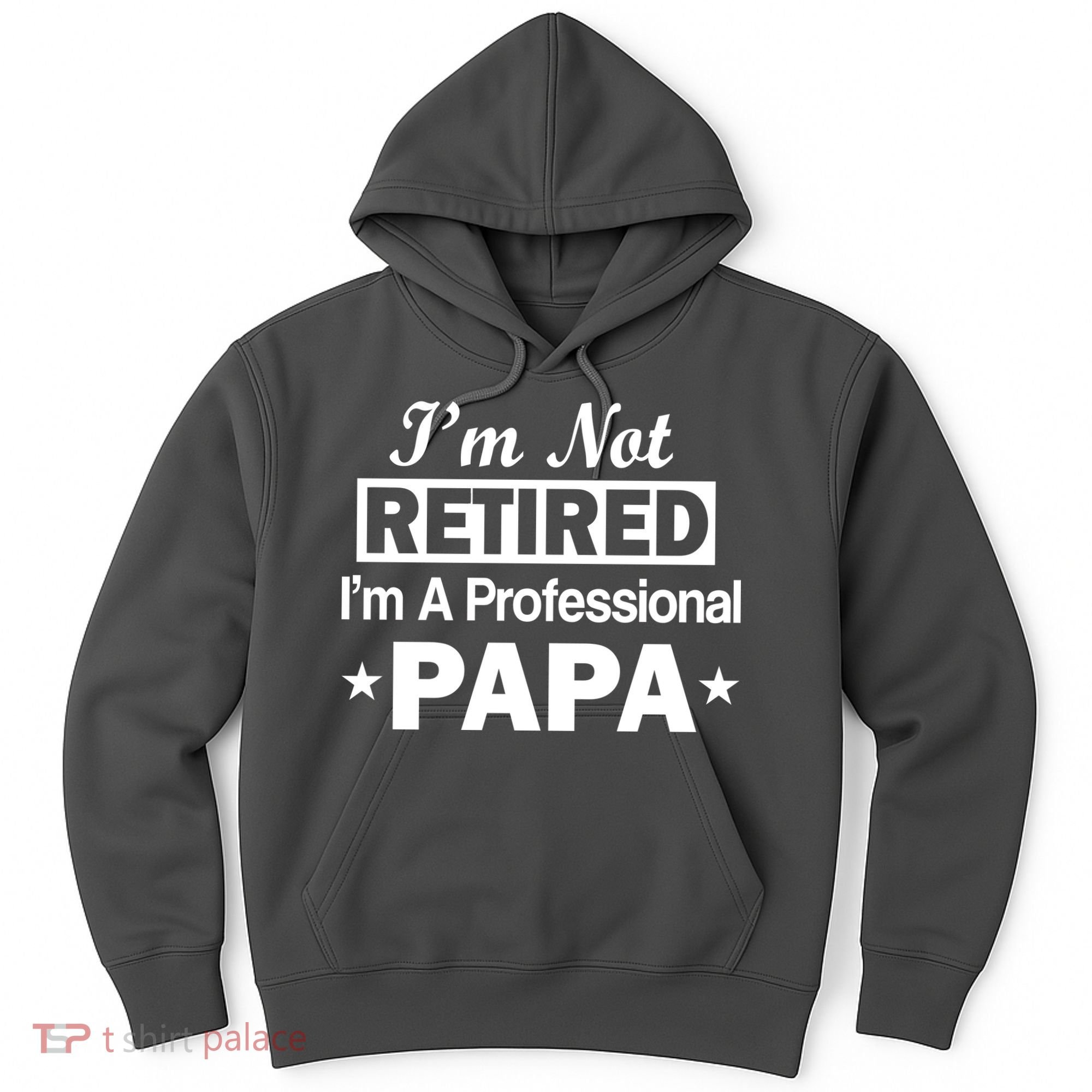 I'm Not Retired I'm A Professional Papa Hoodie