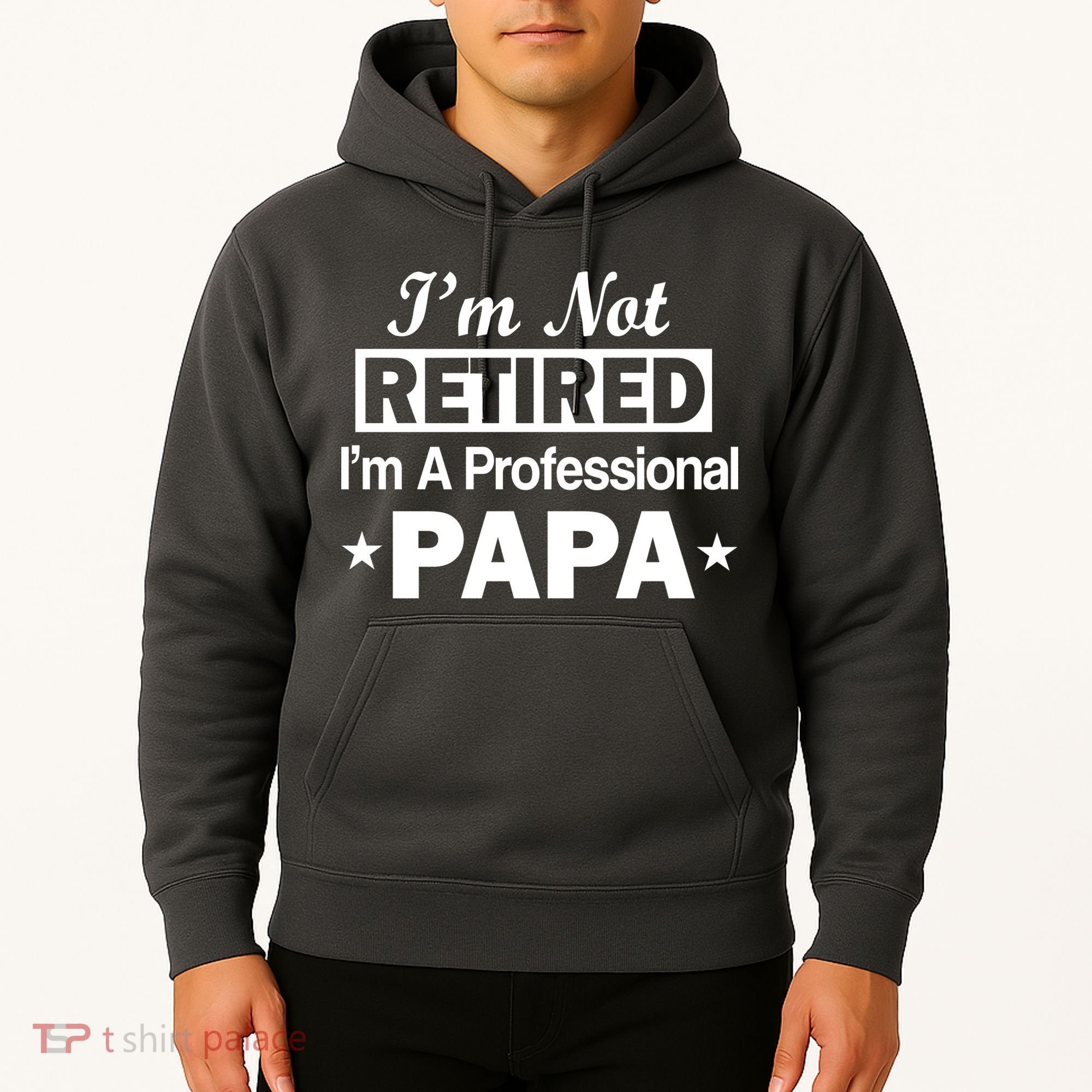 I'm Not Retired I'm A Professional Papa Hoodie