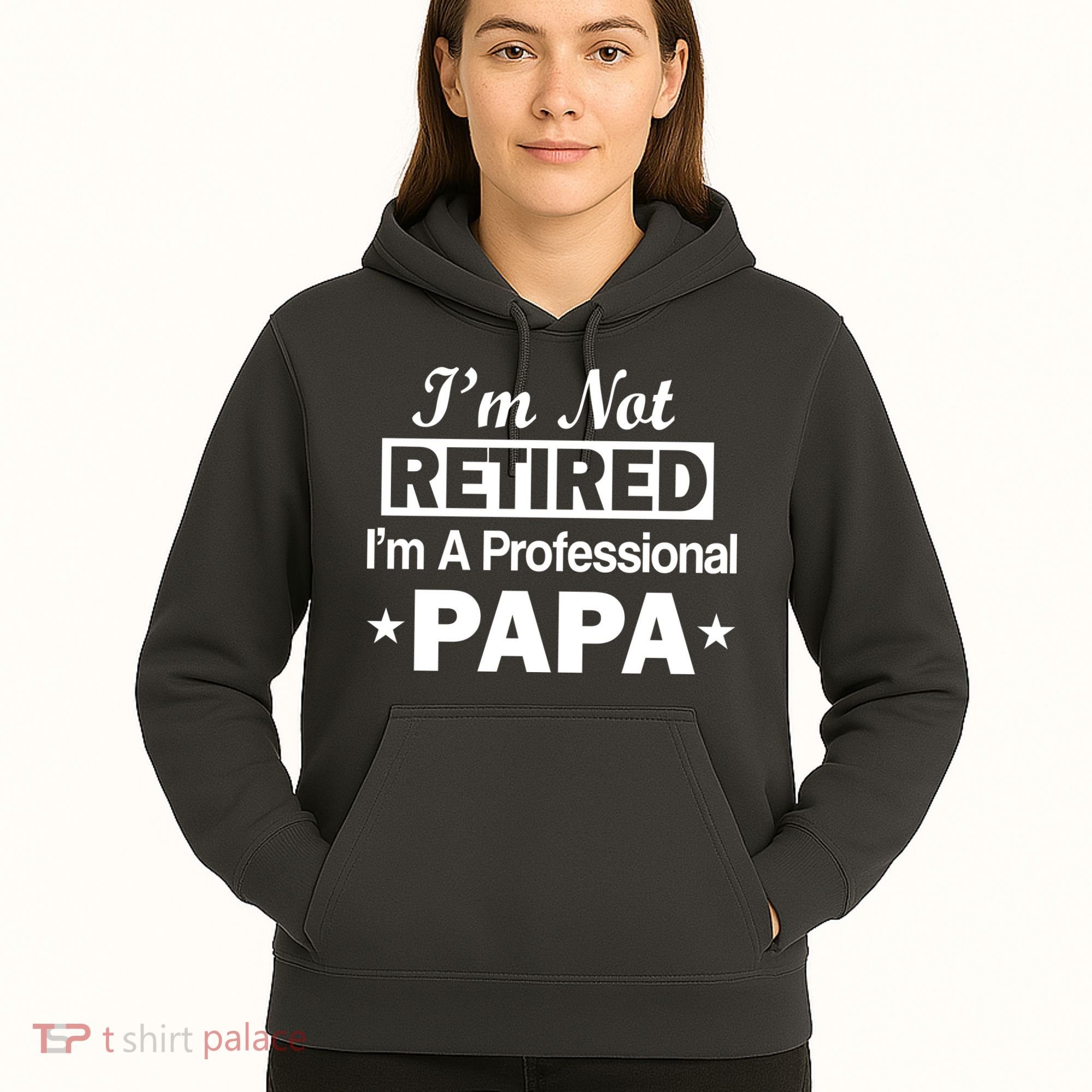 I'm Not Retired I'm A Professional Papa Hoodie