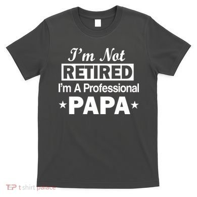 I'm Not Retired I'm A Professional Papa T-Shirt