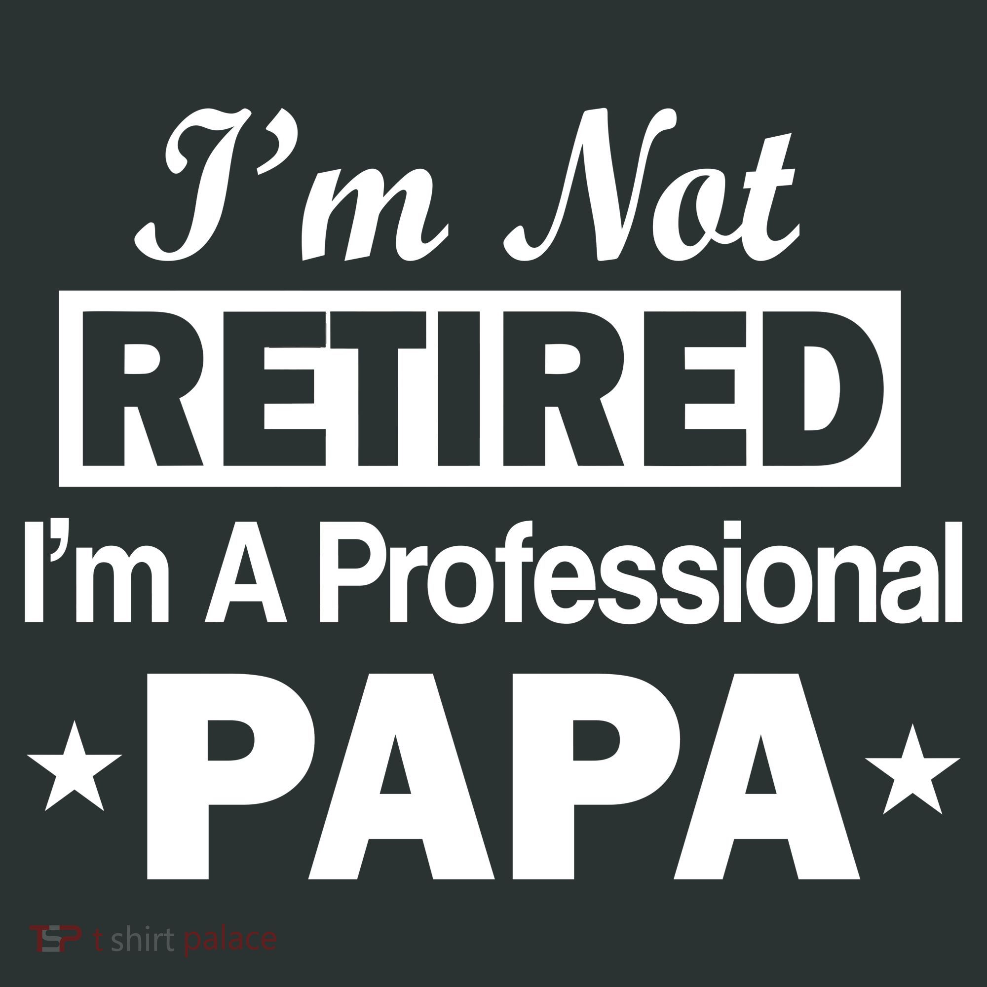 I'm Not Retired I'm A Professional Papa Tank Top