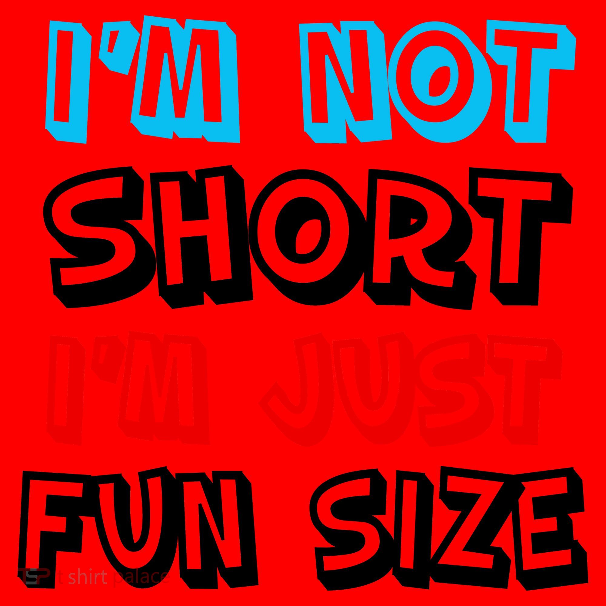 I'm Not Short I'm Just Fun Size Santa Hat