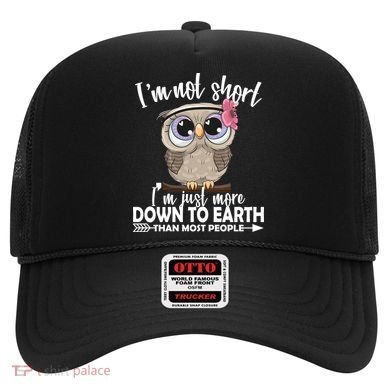 I'm Not Short I'm Just More Down To Earth Owl Hat