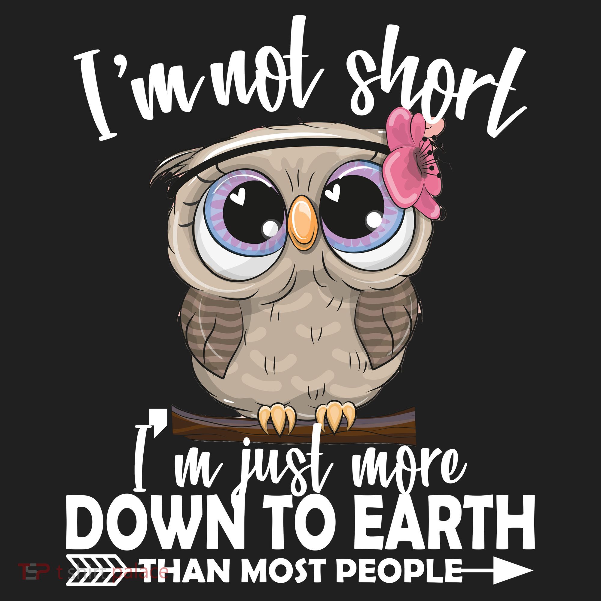 I'm Not Short I'm Just More Down To Earth Owl Hat