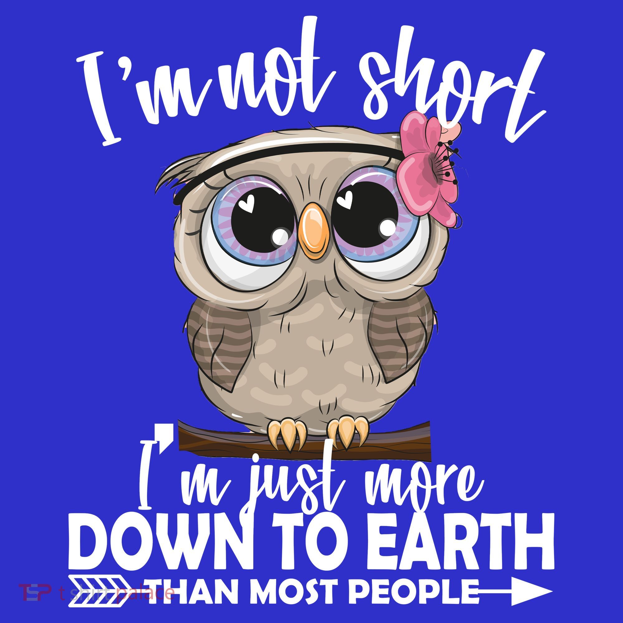 I'm Not Short I'm Just More Down To Earth Owl Kids Long Sleeve Shirt