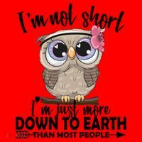 I'm Not Short I'm Just More Down To Earth Owl Santa Hat thumb 1