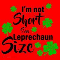 I'm Not Short I'm Leprechaun Size Funny Irish Santa Hat thumb 1