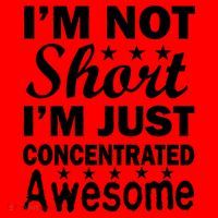 I'm Not Short Just Concentrated Awesome Santa Hat thumb 1
