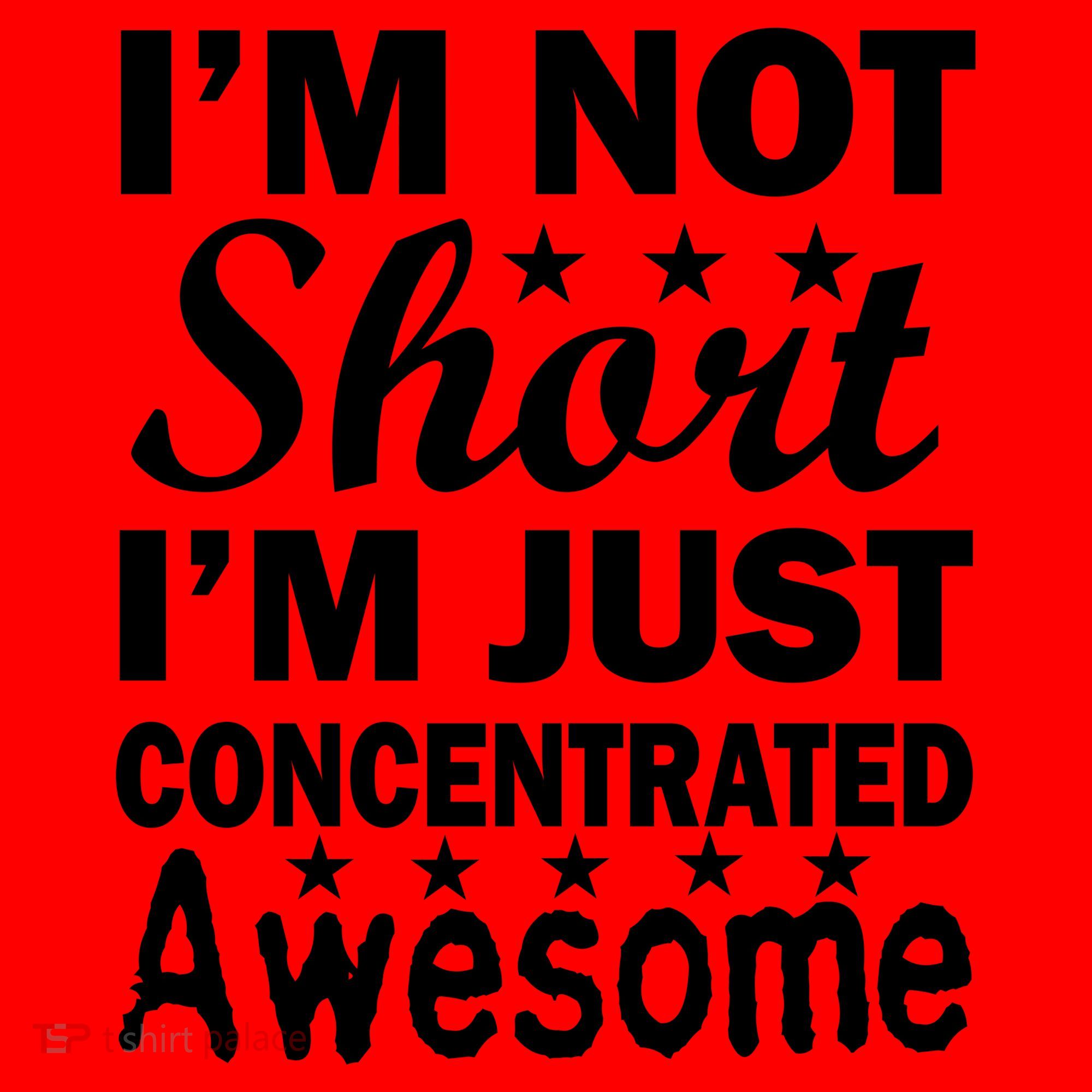 I'm Not Short Just Concentrated Awesome Santa Hat
