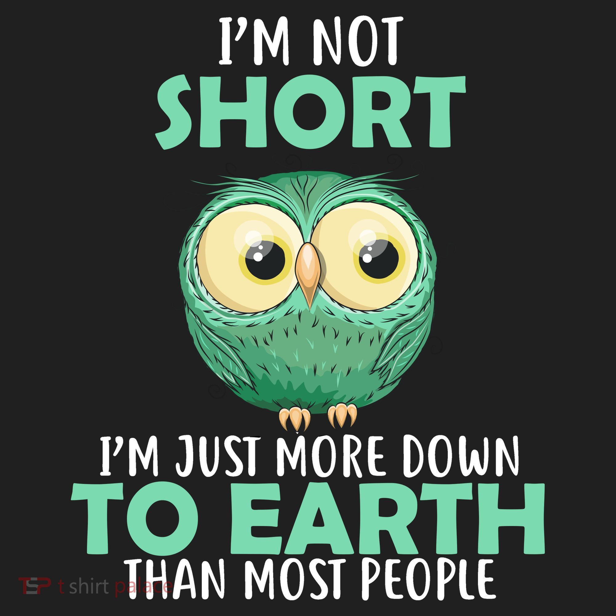 I'm Not Short Just Down To Earth Beanie