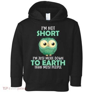 I'm Not Short Just Down To Earth Toddler Hoodie