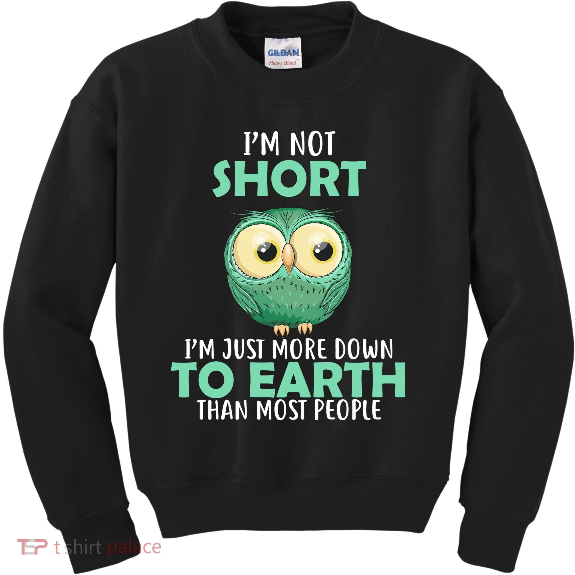 I'm Not Short Just Down To Earth Kids Sweatshirt