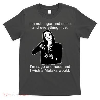 I'm Not Sugar And Spice Funny Meme T-Shirt