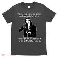 I'm Not Sugar And Spice Funny Meme T-Shirt thumb 0