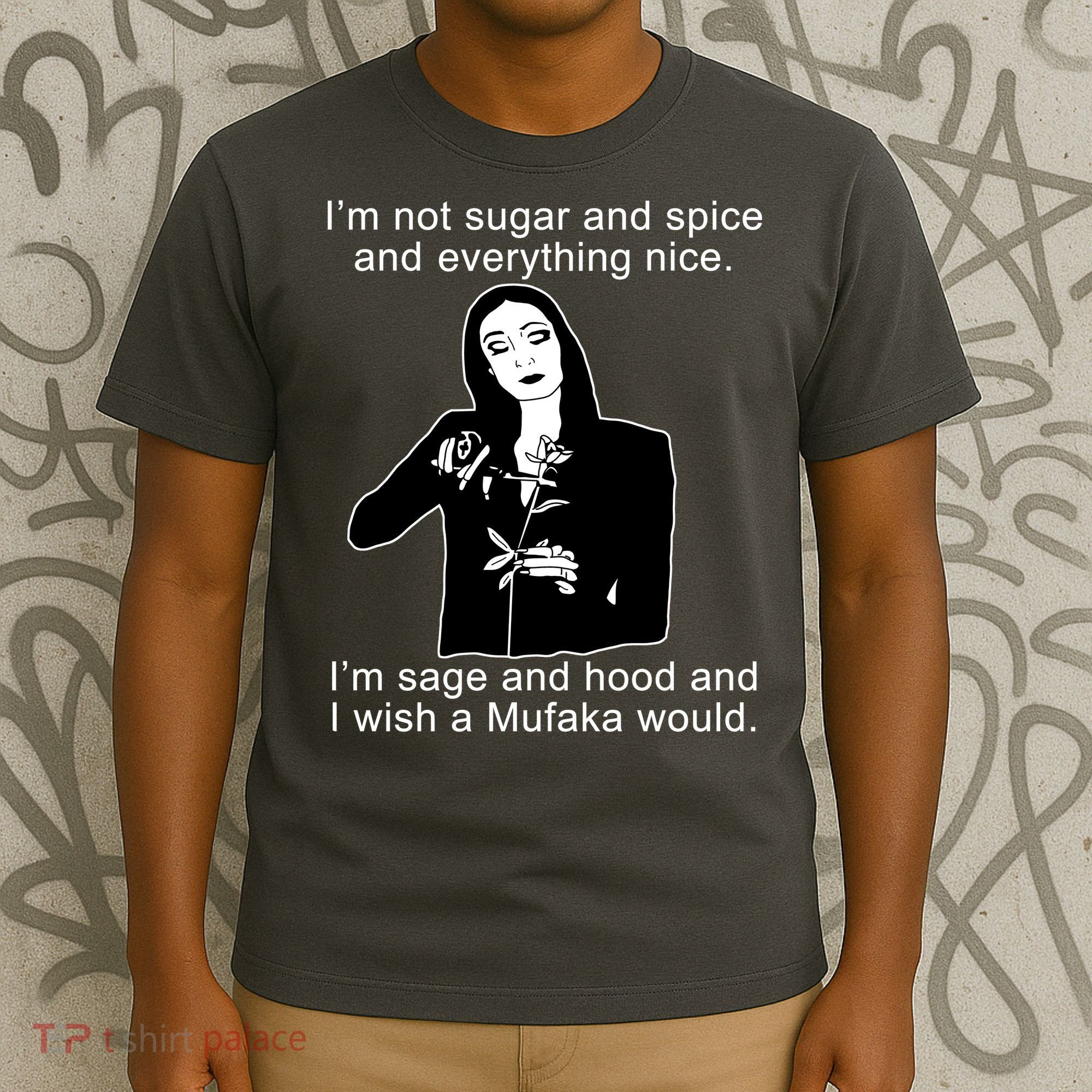 I'm Not Sugar And Spice Funny Meme T-Shirt