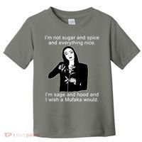 I'm Not Sugar And Spice Funny Meme Toddler T-Shirt thumb 0