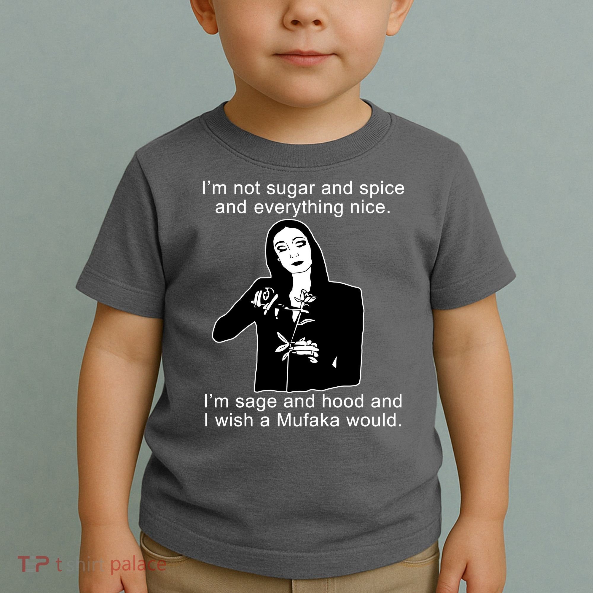 I'm Not Sugar And Spice Funny Meme Toddler T-Shirt