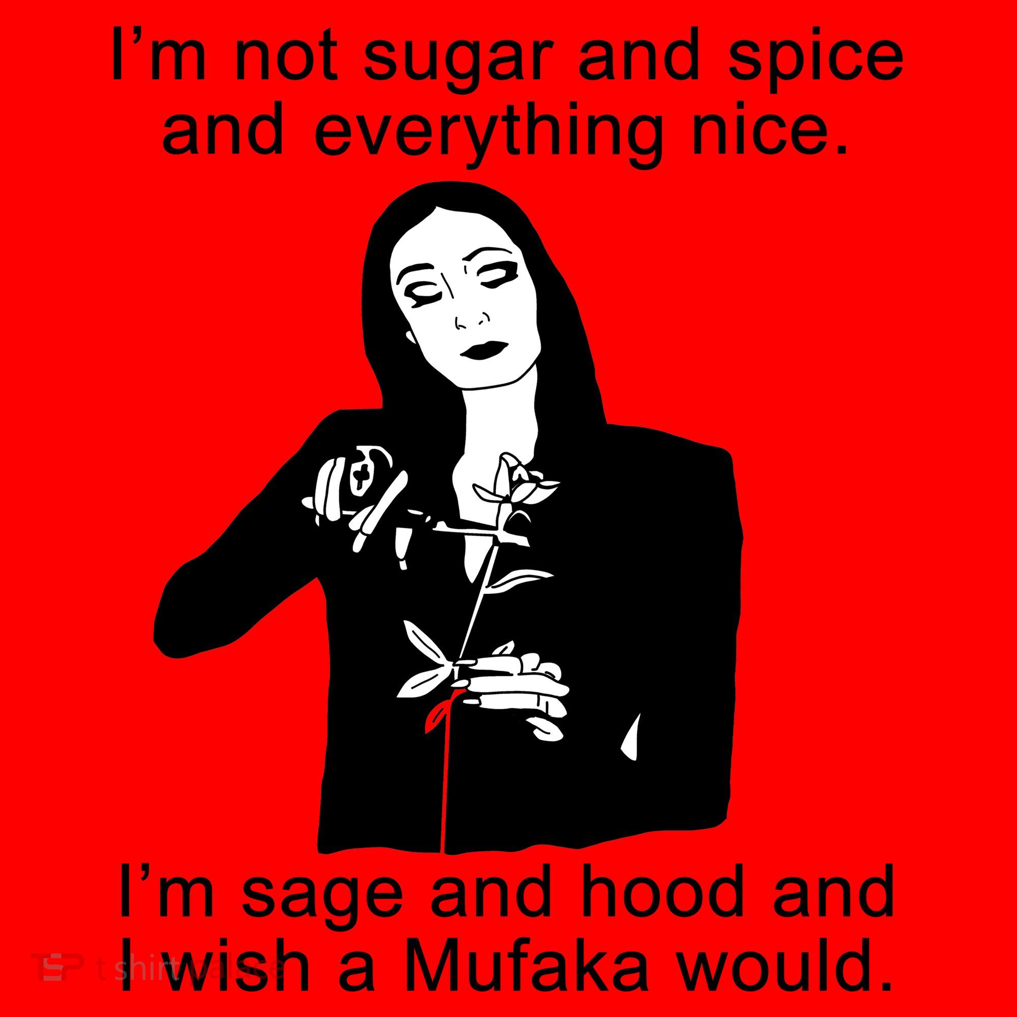 I'm Not Sugar And Spice Funny Meme Santa Hat