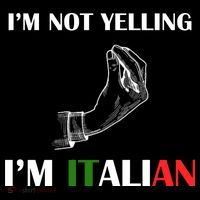 I'm Not Yelling I'm Italian T-Shirt thumb 7