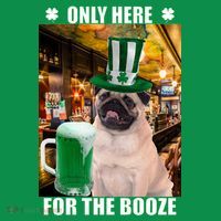 I'm Only Here for the Booze Beer Pug St. Patrick's Day Coaster thumb 2