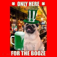 I'm Only Here for the Booze Beer Pug St. Patrick's Day Santa Hat thumb 1