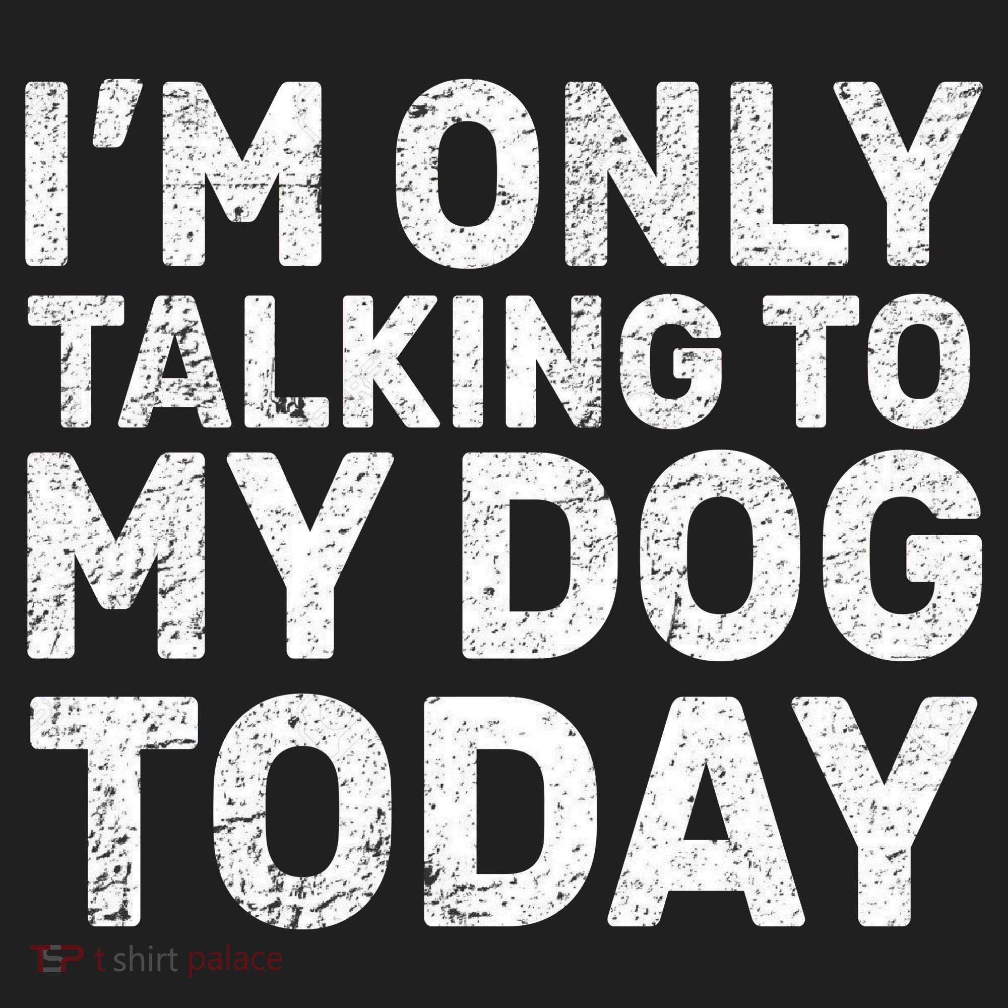 I'm Only Talking To My Dog Today 40oz Vacuum Insulated Stainless Steel Travel Tumbler